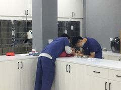 -福州肆爪动物医院