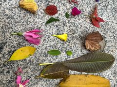 -南国桃园旅游度假区