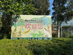 -福田红树林生态公园