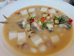 葱烧潮州仓鱼配年糕-潮上潮(南中环店)