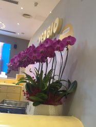 -超级奈尔宝SUPER NEOBIO(杭州星光店)