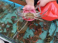 -景好海鲜餐厅(大鹏必选旅游店)