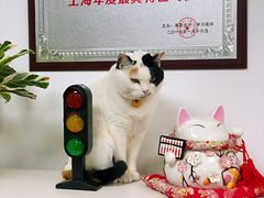 -胜华驾校·小猫学车(银都店)