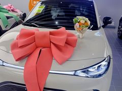 -上海浦东smart汽车全功能店(金桥店)