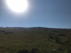 -大姆山草场