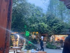 -青城甲(青城山店)