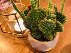 -Mesa Madre梅萨妈妈·Bintana(国贸店)