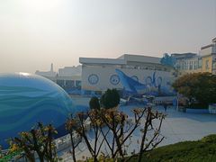 -海合安青岛极地海洋公园