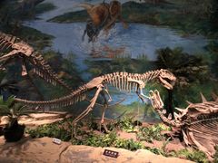 -自贡恐龙博物馆