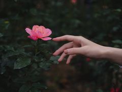 -人民公园(罗湖区)