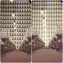 宴会厅-圣露庄园·草坪婚礼·宴会厅·会议