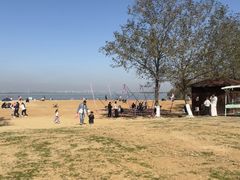 -瑶湖郊野森林公园