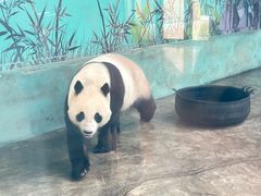 -石家庄市动物园