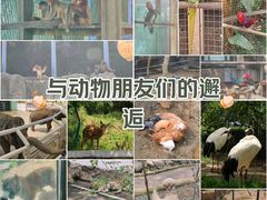 -大连森林动物园