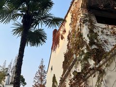 -龙华素斋(龙华路店)