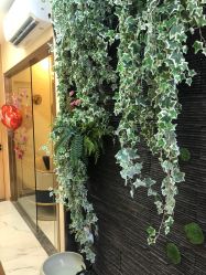 -芳朵美容养生SPA