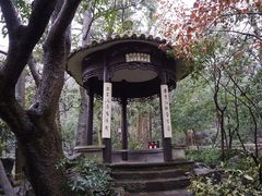 -龙井村