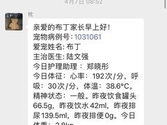 -宠爱国际动物医院· 猫科· 外科·中兽医(长白店)