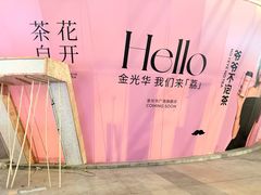 -金光华广场