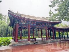 -近春园遗址
