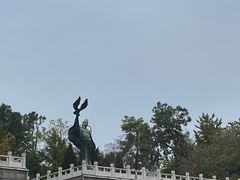-放鹰台遗址