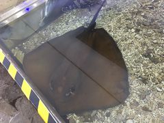 -野山舂·贵州现舂酸汤火锅(鸿通城店)