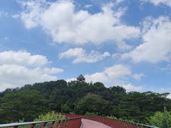 -王借岗森林公园