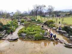 -铁山坪森林公园