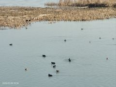 -苏州太湖湖滨国家湿地公园
