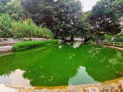 -成都市活水公园