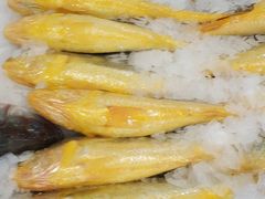 -盒马鲜生(大成店)