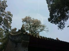 android_upload_pic-少林寺景区