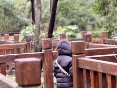 -上海佘山国家森林公园天马山园