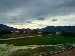 -黄牛肉馆·皖南土菜
