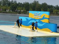 -秦皇岛乐岛海洋王国