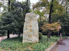 -灵谷景区