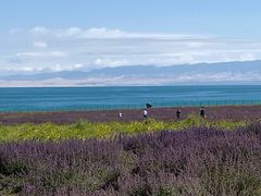 -青海湖国家重点风景名胜区