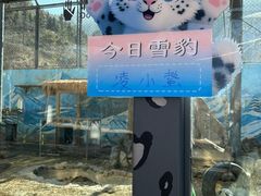 -青藏高原野生动物园