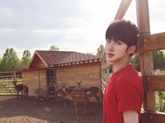 -安德鲁户外烧烤帐篷营地(马泉营店)