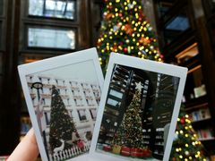 -行者书屋大堂吧 ·下午茶(南京圣和府邸酒店)