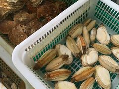 -公寓家常菜馆(海军博物馆店)