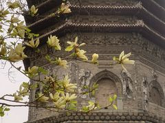-玲珑塔公园