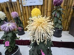 -上海大学（宝山校区）-图书馆