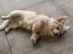 -情书·中餐厅(长嘉汇店)