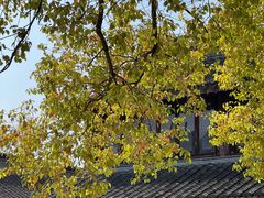 -龙华寺