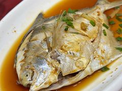 -红灯笼龙凤饭店(宁波老字号店)