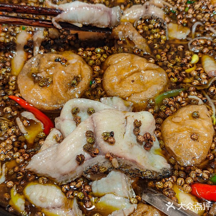 南京女大学生 勇闯鱼乐圈⭕️ 