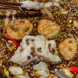 南京女大学生 勇闯鱼乐圈⭕️ 