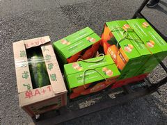 -胡家庙水果批发市场