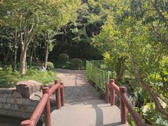 -嘉定紫藤园